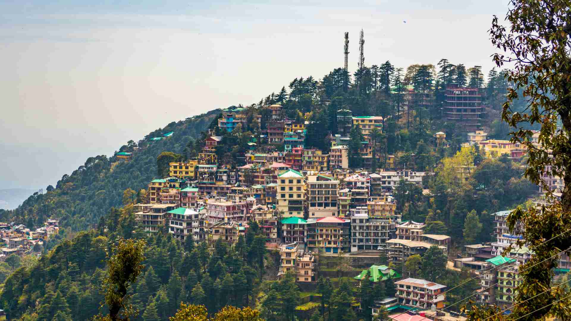 self drive car rental from chandigarh to dharamshala
