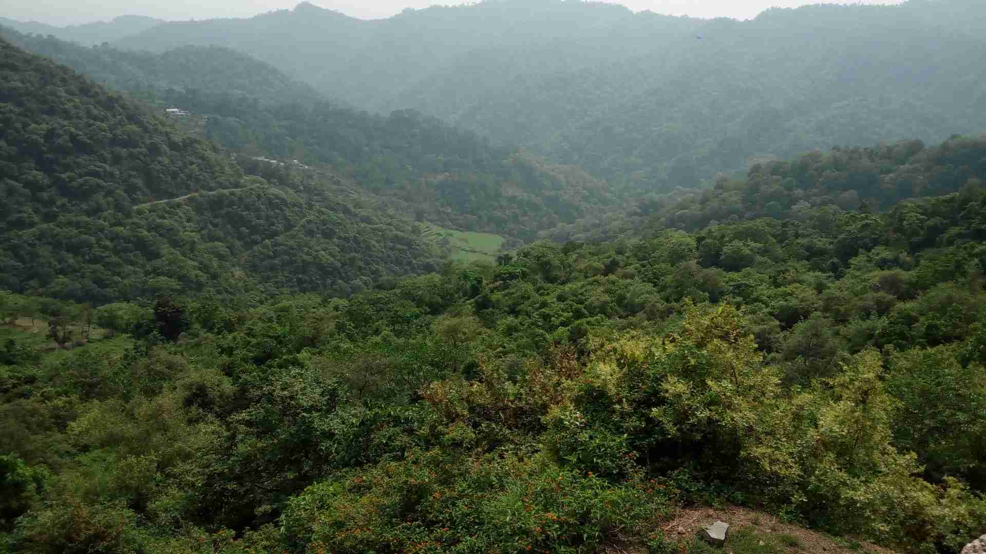 Morni Hills