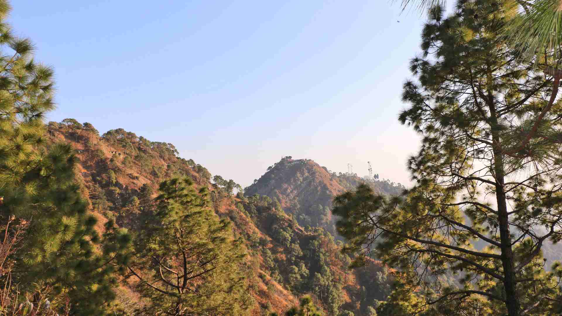 kasauli