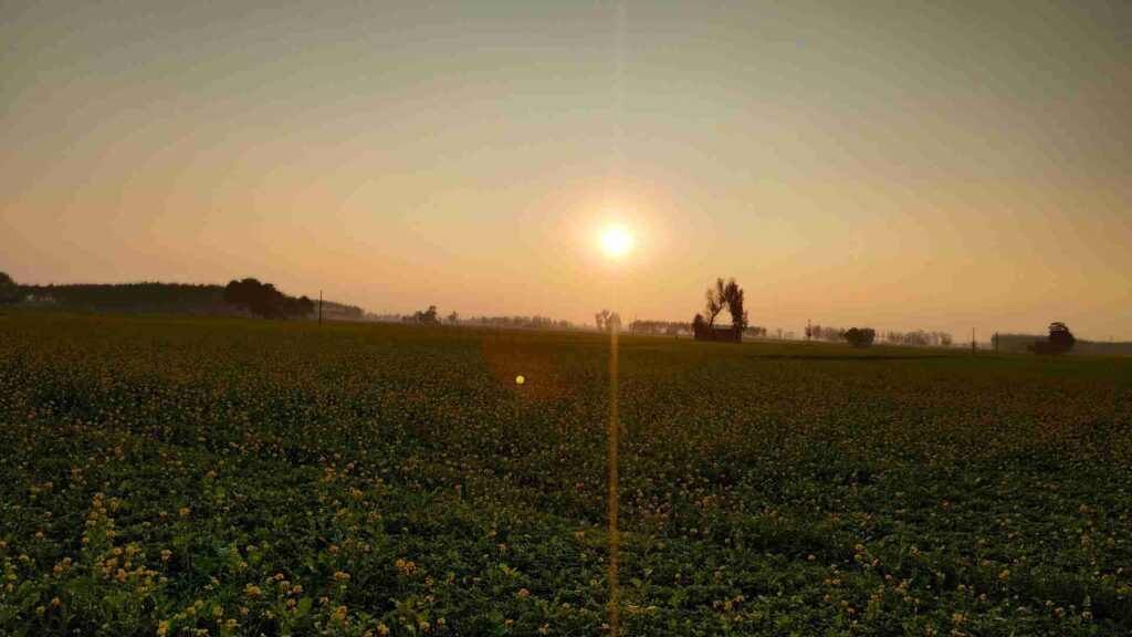 ludhiana