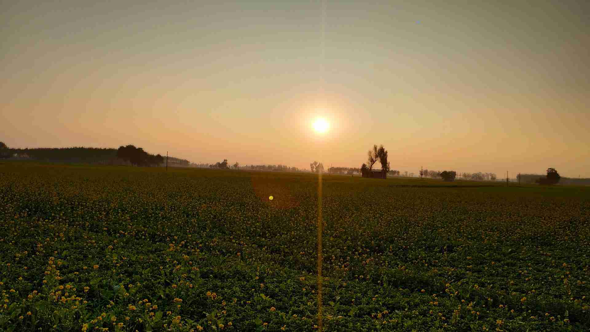 ludhiana